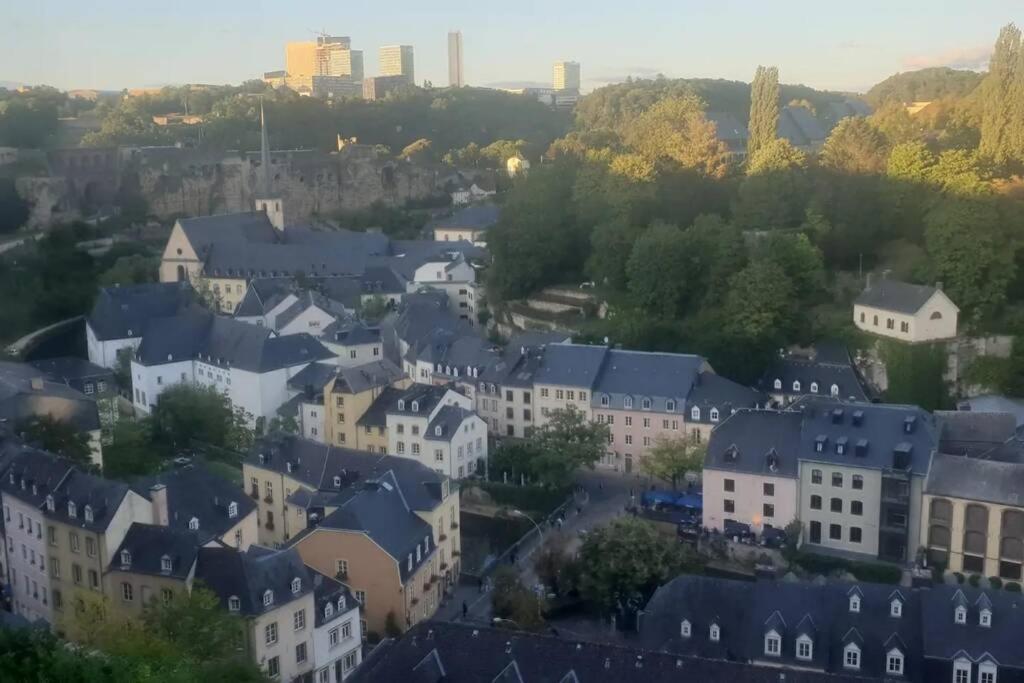 Large Family Retro Flat In City Center- Large Terrace & Garden View, Free Parking Luxemburg Exterior foto