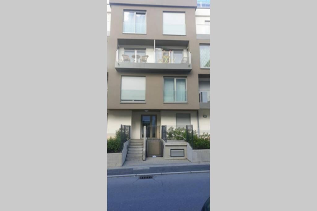 Large Family Retro Flat In City Center- Large Terrace & Garden View, Free Parking Luxemburg Exterior foto